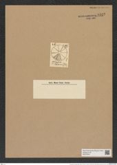 Actinoptychus undulatus (Bail.?) Ralfs. (de-Toni-Nr.: Genus 227, Species 5519) Zeichnungen Sammlung Grunow Nr. 9542 (NHMW-BOT-W0379343)